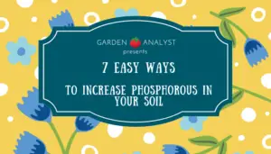 7 easy ways to increase phosphorous in soil
