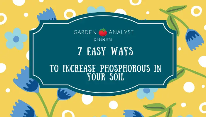 7 easy ways to increase phosphorous in soil