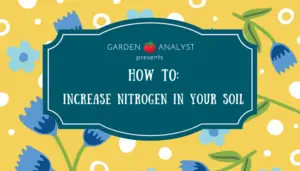how to increase nitrogen in soil