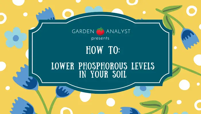 how to lower phosphorous levels in soil