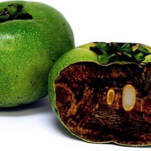 black sapote fruit inside