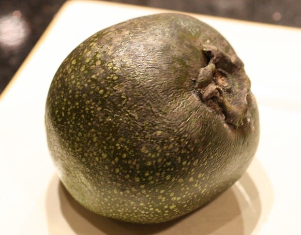 ripe black sapote
