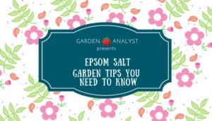 epsom salt guide image