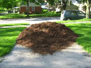 wood mulch