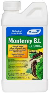 insecticide biological cutworms infestation cutworm bacillus thuringiensis pests